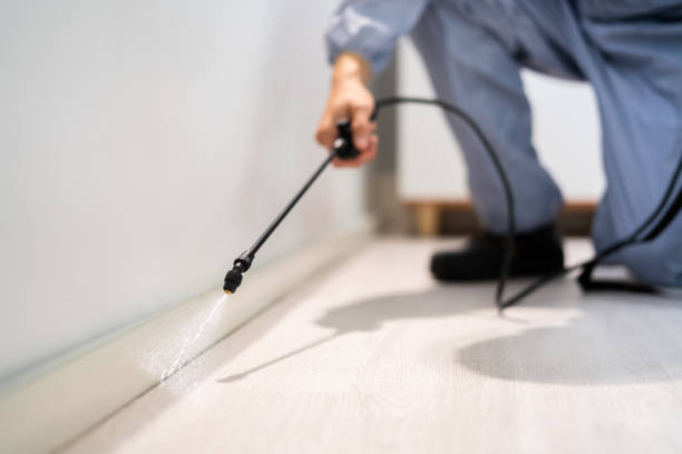 Licensed Exterminator service in Perryton, TX - Show Me Pest Control